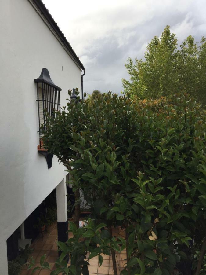 Casa Albéitar Hébergement de vacances